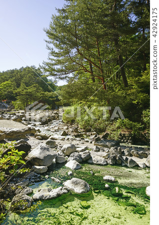 草津西部的川原公園 草津西部的川原公園 42924175