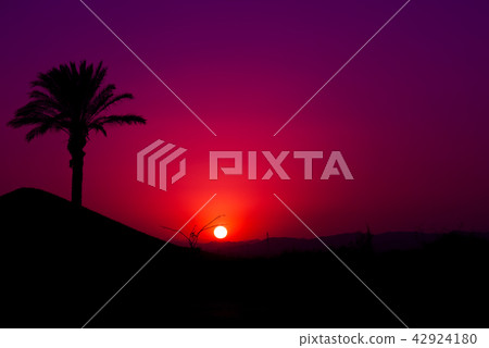 Pink Andalusian sunset 42924180