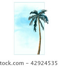 Palm trees. Tropics nature. Summer vacation banner template with text place 42924535