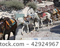 Donkey of Santorini 42924967