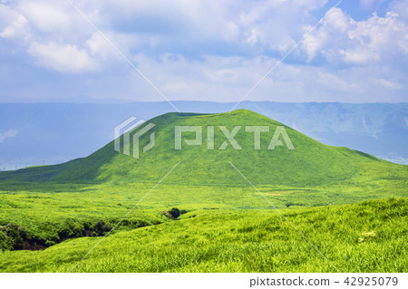 麻生的美麗的Yonezuka 麻生的美麗的Yonezuka 42925079