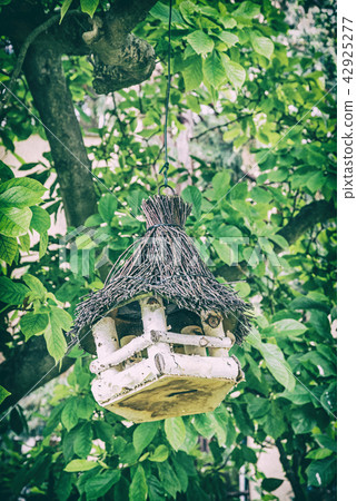 Wooden bird house hanging on green tree, filter 42925277
