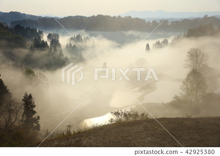 Gamo的水稻梯田  Gamo的水稻梯田 42925380