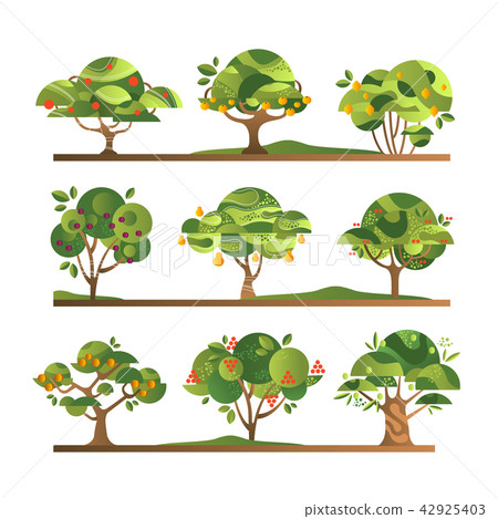 Different fruit trees set, apple, orange, lemon, pear, rowan, apricot, plum, cherry tree with ripe 42925403