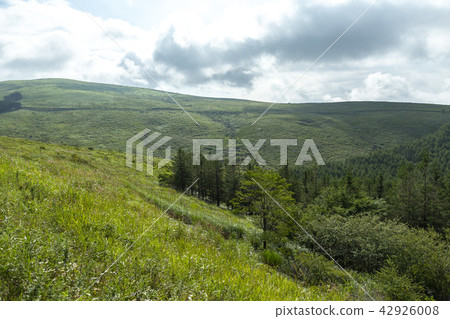 遊覽草原生活方式家庭度假山梨北海道出國度假長野之旅摩托車朋友 遊覽草原生活方式家庭度假山梨北海道出國度假長野之旅摩托車朋友 42926008