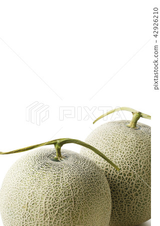 melon 42926210