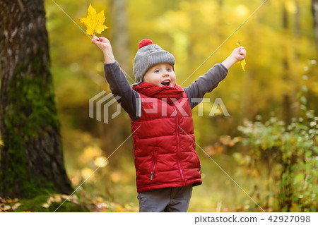Little boy during stroll in the forest at sunny autumn day 42927098
