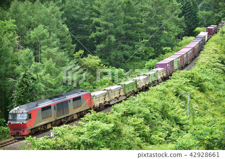 室蘭干線洞爺 -  Usu JR Freight DF 200  -  7(五棱郭) 室蘭干線洞爺 -  Usu JR Freight DF 200  -  7(五棱郭) 42928661