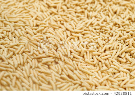 Maggot worm bait for fishing Maggot worm bait for fishing 42928811