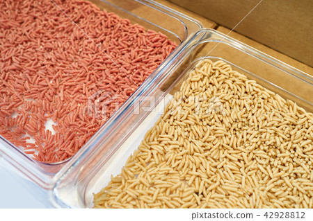 Red and white maggot worm bait for fishing Red and white maggot worm bait for fishing 42928812