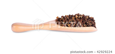 Dry Zanthozylum limonella Alston in wooden spoon 42929224