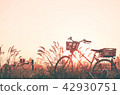beautiful landscape image with Bicycle  42930751