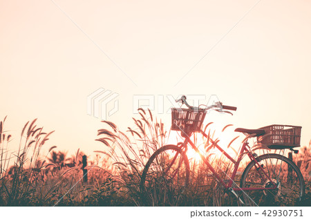 beautiful landscape image with Bicycle beautiful landscape image with Bicycle 42930751