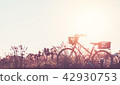 beautiful landscape image with Bicycle at sunset  42930753