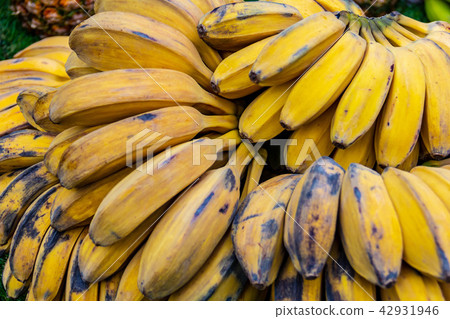 Yellow ripe banana in southern country 42931946