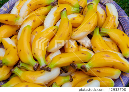 Yellow banana in southern country Yellow banana in southern country 42932708