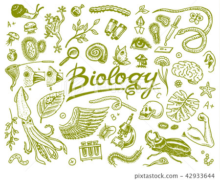 Scientific laboratory in Biology. Icon Set of Biochemistry Research. Living creatures organisms Scientific laboratory in Biology. Icon Set of Biochemistry Research. Living creatures organisms 42933644
