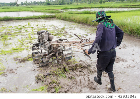 plows machine - Farmer using walking tractor  42933842