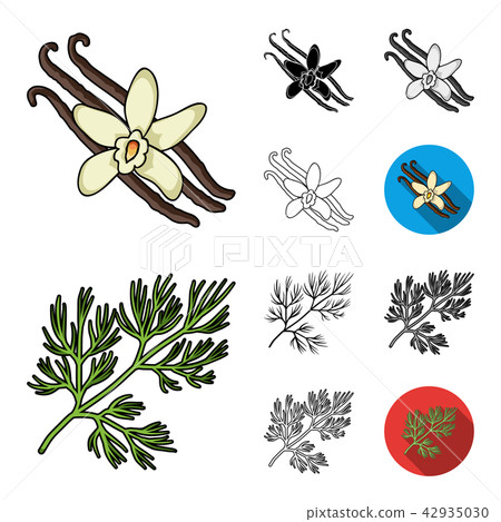 Herb and spices cartoon,black,flat,monochrome,outline icons in set collection for design.Different Herb and spices cartoon,black,flat,monochrome,outline icons in set collection for design.Different 42935030