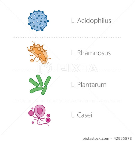 Healthy intestinal bacteria icons 42935878