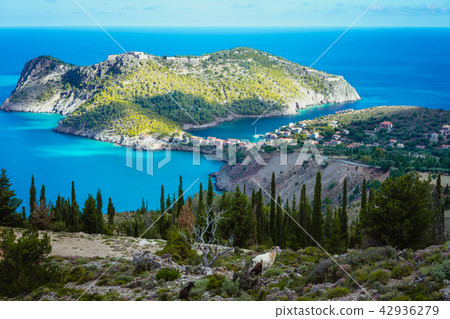 Two goats animal standing under cypress trees against amazing mountainous landscape of Assos in 42936279
