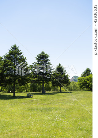 Prairie and tree background 42936635