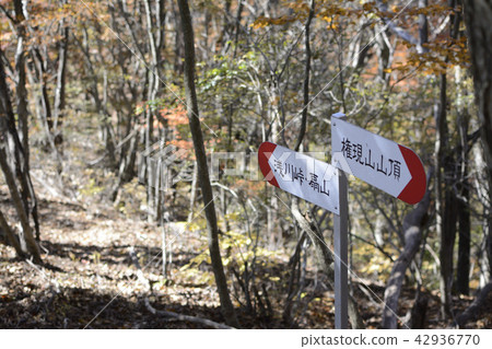 Asakawa Pass 42936770