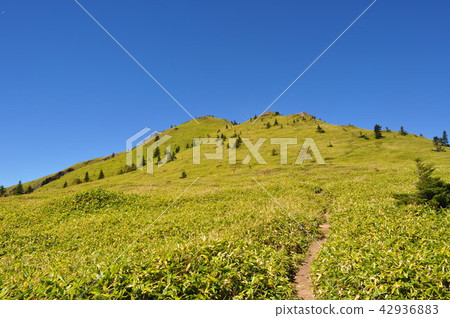 我從Negikake看北阿爾卑斯山 42936883