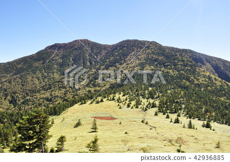 我從Negikake看北阿爾卑斯山 42936885