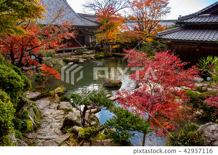 湖東Miyama Baida-ji池塘在秋天 湖東Miyama Baida-ji池塘在秋天 42937116