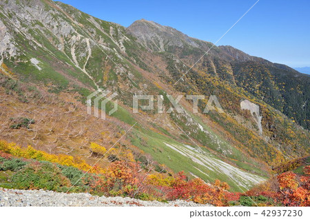 南阿爾卑斯山Akaishi-dake·Arakawa Miyama 42937230