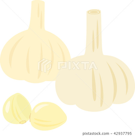 garlic  42937795