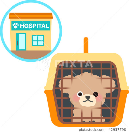 Dog and animal hospital which entered pet carry Dog and animal hospital which entered pet carry 42937798