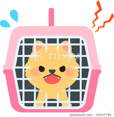 Small dog barking in a pet carry Small dog barking in a pet carry 42937799