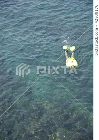 在海裡游泳 42939176