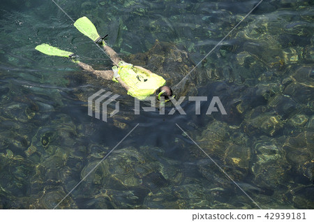 在海裡游泳 在海裡游泳 42939181