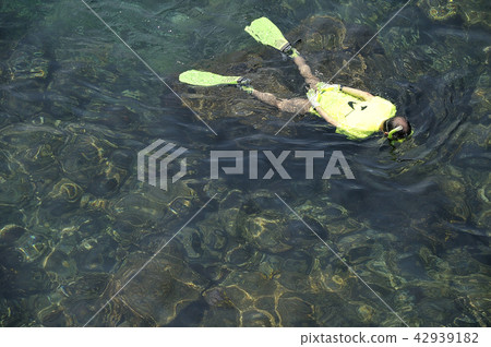 在海裡游泳 在海裡游泳 42939182