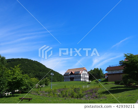 Western-style building 42939211
