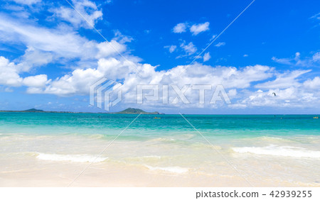 Kailua Beach Kailua Beach 42939255