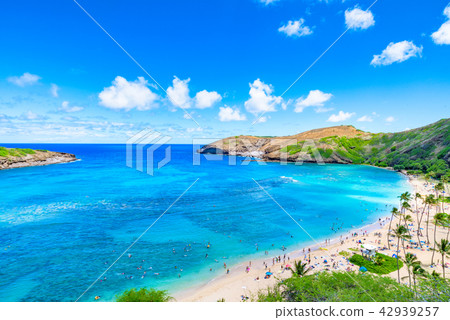 Hawaii Oahu Hanauma Bay Hawaii Oahu Hanauma Bay 42939257