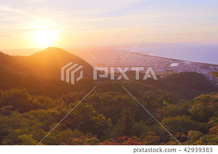 Shonan Plain Sunrise 42939383