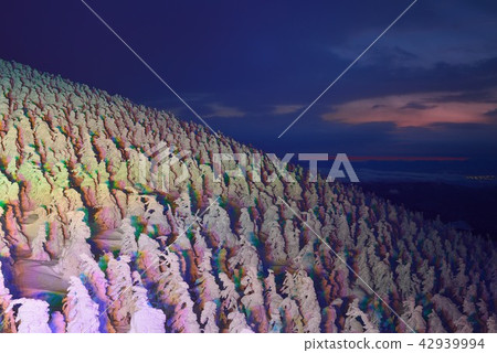 趙無極的冬季場景亮了起來 42939994