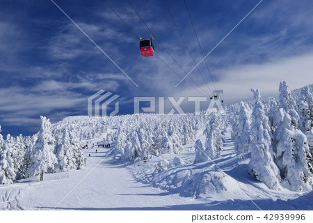 Ripe and ropeway 42939996
