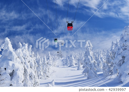 成熟和索道 成熟和索道 42939997