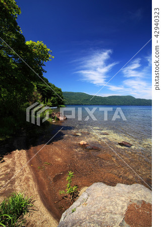 On the banks of Lake Kutakura in the summer On the banks of Lake Kutakura in the summer 42940323