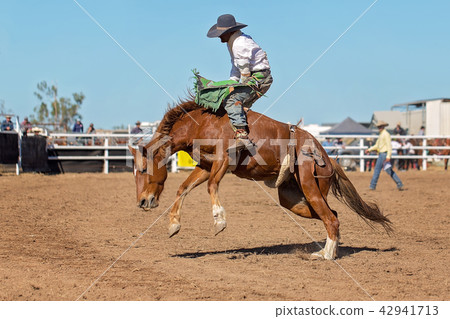 Bareback Bucking Bronc Riding At Country Rodeo Bareback Bucking Bronc Riding At Country Rodeo 42941713