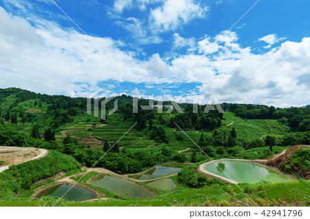 [Niigata Prefecture Nagaoka] Summer is a beautiful green season of rice terraces and terrace ponds of Yamakoshi 42941796