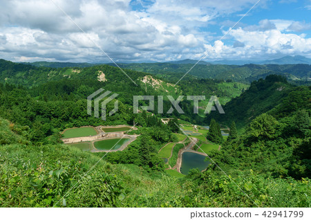 [新潟縣長岡]夏天是Yamakoshi的水稻梯田和露台池塘的美麗的綠色季節 42941799