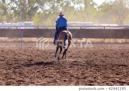 Camp Draft Event , Rounding Up Cattle Camp Draft Event , Rounding Up Cattle 42942195