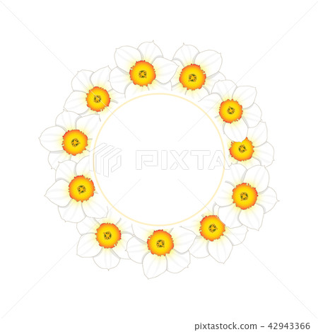 White Daffodil - Narcissus Flower Banner Wreath White Daffodil - Narcissus Flower Banner Wreath 42943366